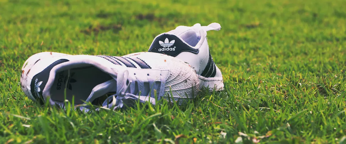 Clean sneakers on display