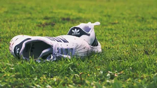 Clean sneakers on display