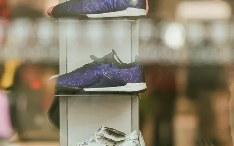 Collection of valuable sneakers displayed as investment assets